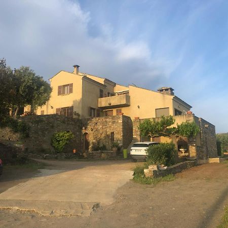 Chambres D'Hotes Casa Pruneta Saint-Florent  Εξωτερικό φωτογραφία